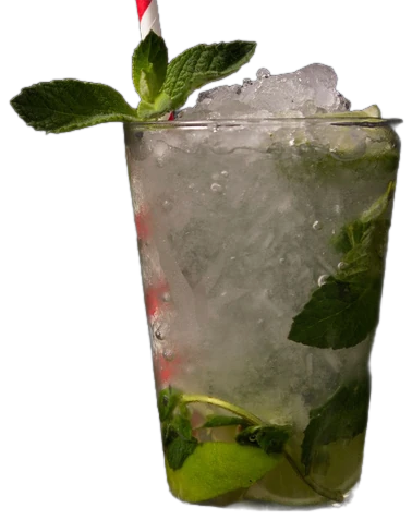 Havana Mint cocktail